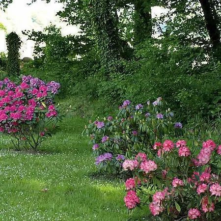 Gutshaus Neu Wendorf Guest house 3*